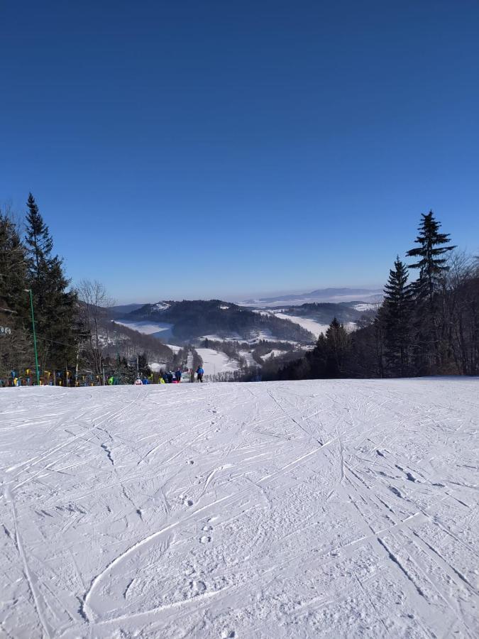 44 Slaska Kamienna Gora Bagian luar foto